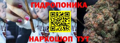 дмт Будённовск