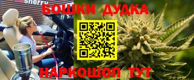 дмт Будённовск