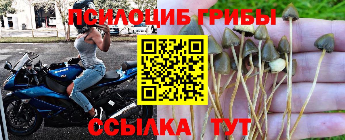 Псилоцибиновые грибы Psilocybine cubensis  Вход с VPN  Узловая 
