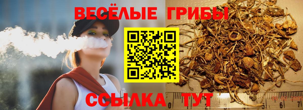 Псилоцибиновые грибы Psilocybine cubensis Узловая